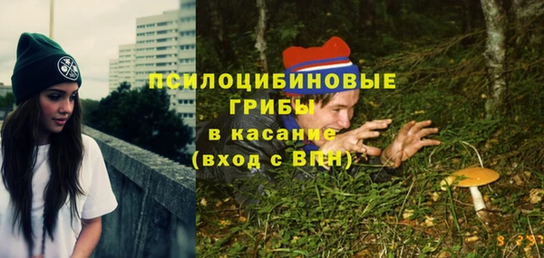 бошки Богородск