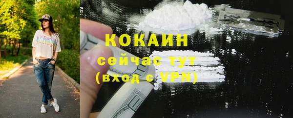 шишки Балабаново