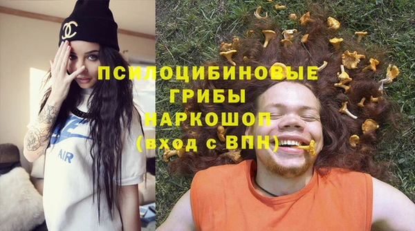 бошки Богородск