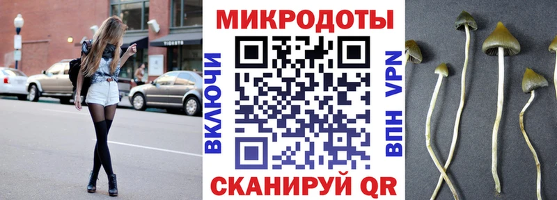 где купить   ОМГ ОМГ как войти  Псилоцибиновые грибы прущие грибы  Армавир 